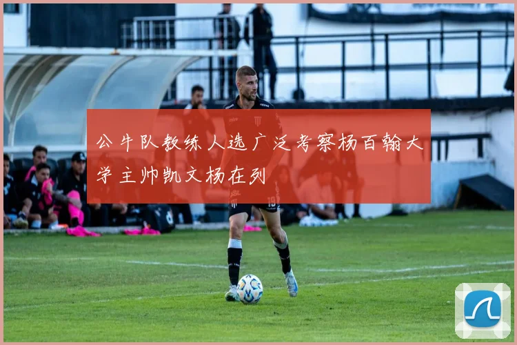 公牛队教练人选广泛考察杨百翰大学主帅凯文杨在列